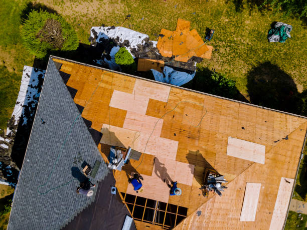 Quick and Trustworthy Emergency Roof Repair Services in Dalton, PA